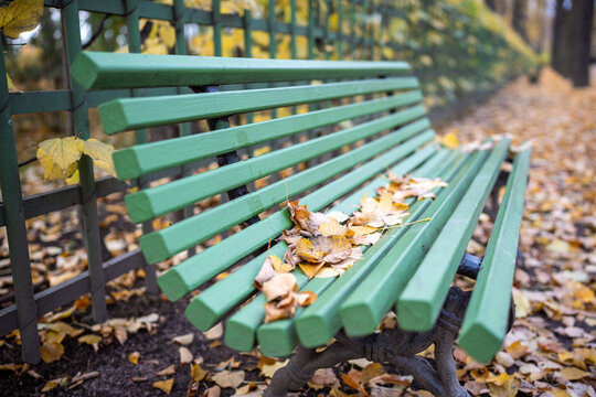 Yellow and brown autumn leaves cover long green wooden bench beside decorative fence in Summer Garden, Saint Petersburg. Empty seating reflects seasonal change across historic urban park in Russia