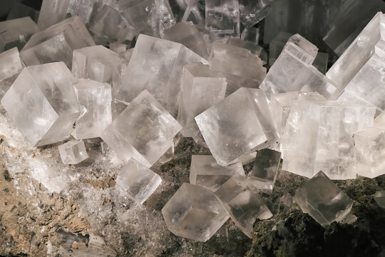 w&uuml;rfelf&ouml;rmige Kristalle des Minerals Halit, Steinsalz in einer Mineraliensammlung