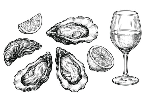 Vintage Oyster and Lemon Illustration with Wine Glass for Elegant Seafood Dining Designs