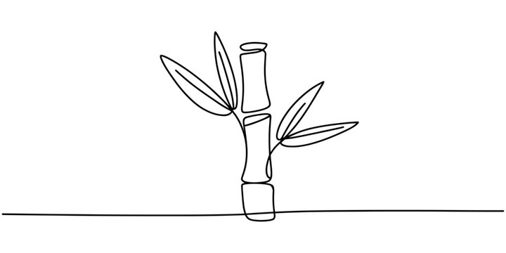 Continuous single line drawing of a bamboo plant stalk with green leaves Vector, illustration