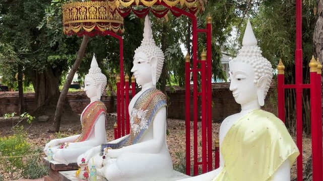 Buddha statues adorned with colorful sashes in Ayutthaya Thailand