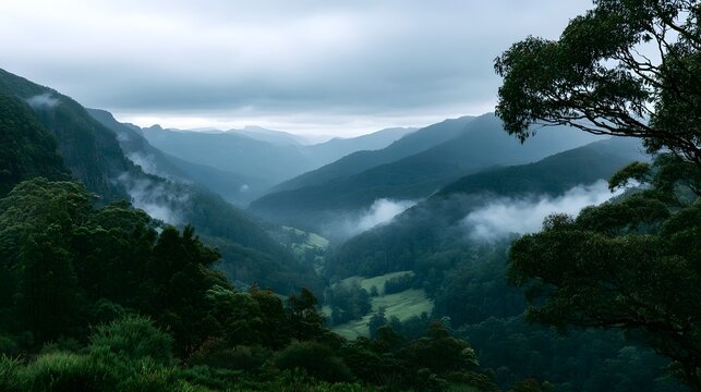 A misty mountain valley with dense forests and rolling hills under an overcast sky  framed by foreground trees