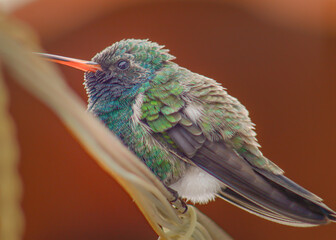 disfrutando el dia © RosaAmparoFotografia