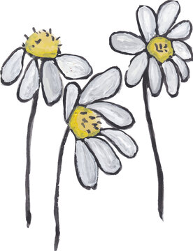 Three Daisies Hand Drawn Illustration