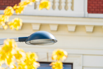 Streetlamp extends across the frame. Autumn foliage frames the lamp. Historic facade forms the background. Architectural details create a refined urban scene. © VladyslavShcherbakov