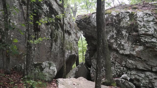 Natural rock arch formation in a dense forest