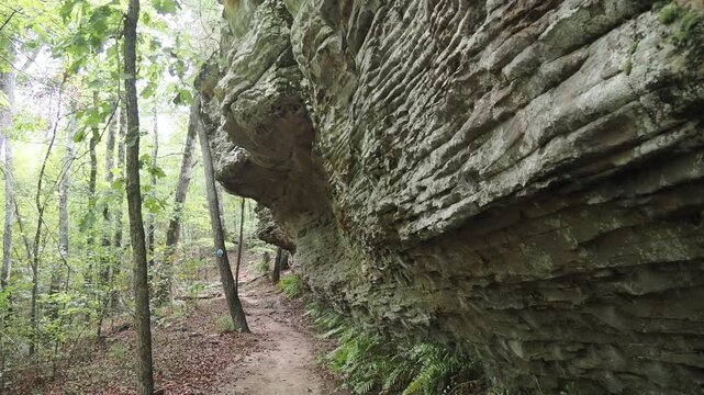 Hiking trail alongside a massive sandstone rock formation in a forest