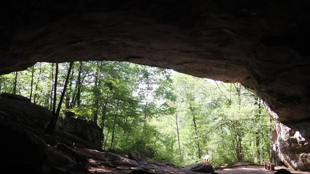 View from inside a large rock shelter looking out into a sunlit forest