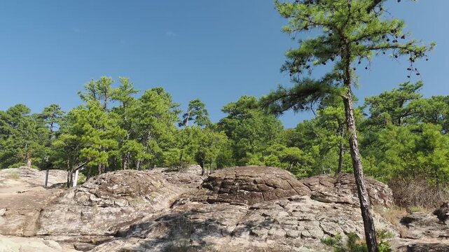 Rocky landscape with pine trees and blue sky