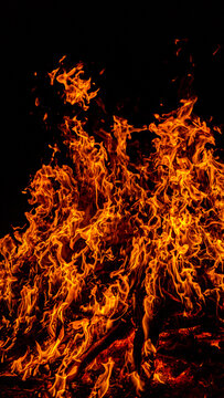 Fire from burning wood. Blazing fire with glowing embers. Fire against black background. Intense fire with swirling flames.