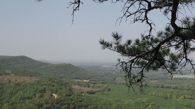 View of forested hills and valley from Mount Magazine
