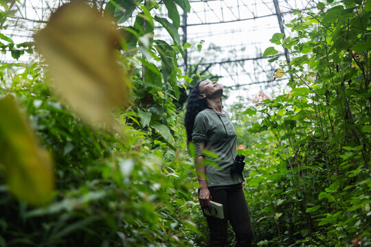 Woman Feeling Refreshed Among Lush Tropical Plants in a Botanical Dome