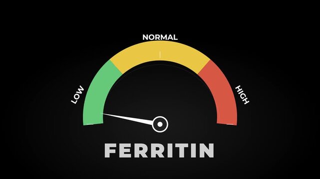 Conceptual ferritin level gauge animation showing needle moving between low, normal, and high zones. Digital medical indicator for iron storage monitoring, anemia diagnosis, and health checkup.