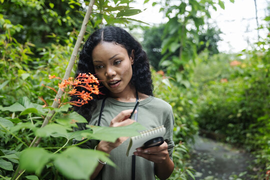 Woman Observing Orange Flowers and Taking Notes in a Tropical Garden