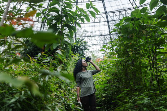 Woman Exploring Tropical Plants with Binoculars in a Greenhouse