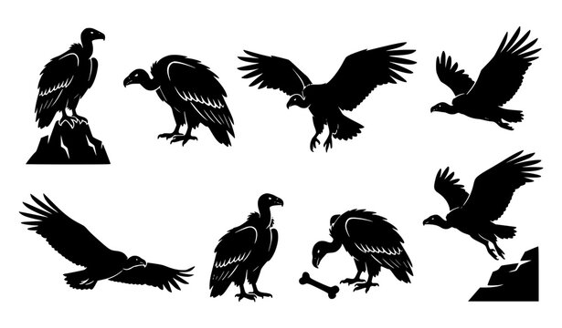 Eagle vector set 