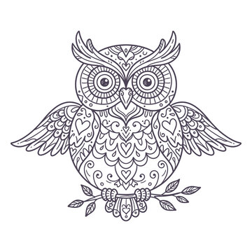 Decorative owl illustration featuring intricate mandala pattern details perfect for coloring books textile prints or artistic nature themed creative projects today.