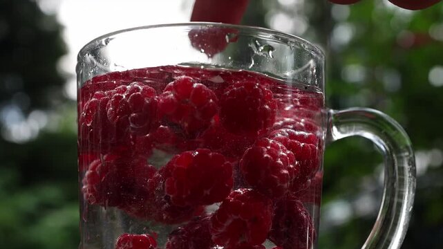 Close-up of red raspberries in a transparent glass cup filled with water. Natural fruit-infused drink with fresh berries, bubbles and soft garden background.