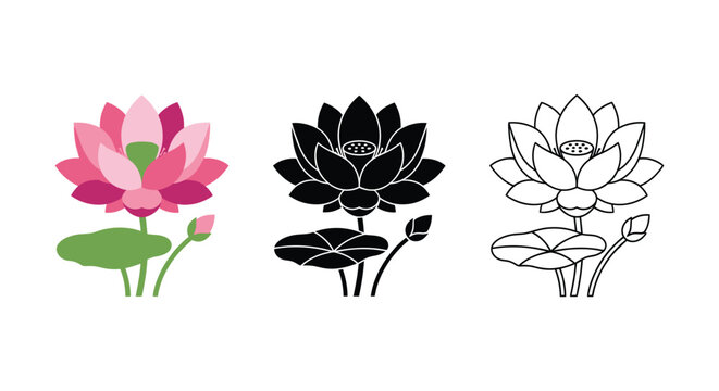 Lotus flower illustrations in color silhouette and line art styles