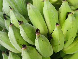 Detailed close up shot of fresh unripe green raw bananas bunch. Ideal for agricultural, tropical fruit, organic food market, and nutrition concepts. © JewJew