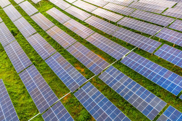 rows of solar panels on green grass field © zhangyang135769