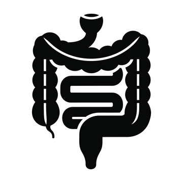 Human digestive system anatomy illustration