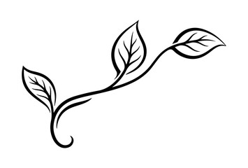 minimal botanical graphic sketch drawing, trendy tiny tattoo design, floral elements vector illustration frame © WASIF-MEHMOOD