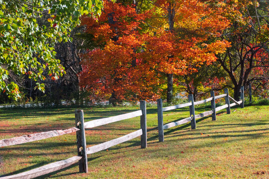Wooden fence bordering a field with vibrant autumn trees