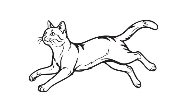 Black and white ink illustration of a cat running with ink sketch