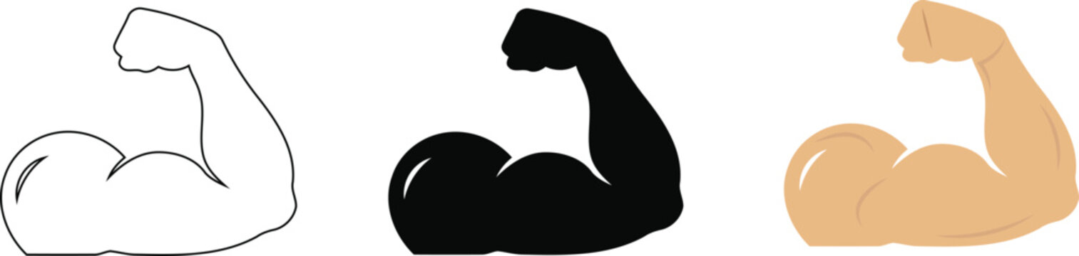 Set of vector illustrations representing flexed arm muscles in outline, solid black, and colored styles to symbolize strength, power, and physical training, isolated on a Transparent background