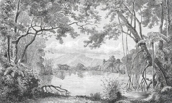 Vintage Black White Etching Forest River Mountains Fine Line