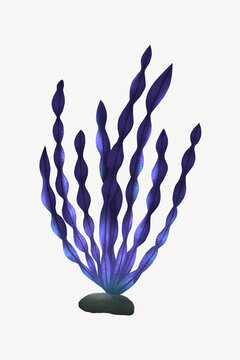 Purple algae, aesthetic nature illustration