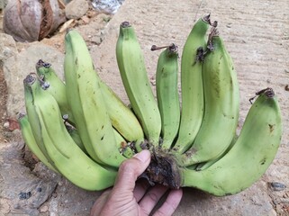 bunch of bananas © Har
