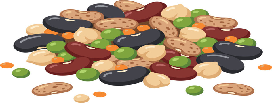 Mixed Beans and Legumes Pile Illustration with Kidney Beans Chickpeas Peas and Lentils Raw Ingredients Vector for Healthy Vegetarian Recipe Graphic Designs