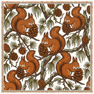 Vintage style seamless pattern featuring cute red squirrels holding pine cones on mossy pine tree branches in a detailed hand drawn botanical illustration for seasonal decor