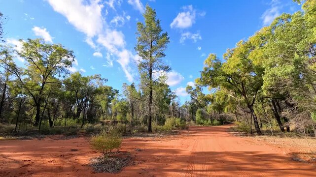 Driving Down Red Dirt Road Through Australian Outback Woodland Scrub
