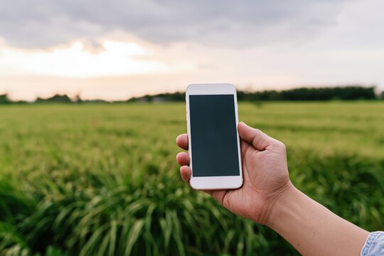 The Smartphone Held aloft in a Vibrant Green Field at Sunset