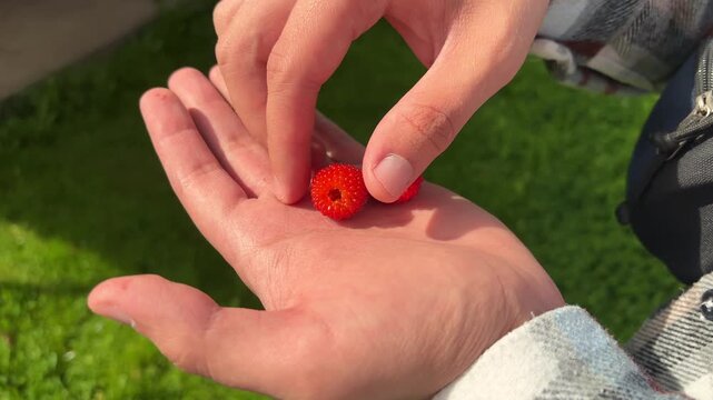 Close View of a Child Holding a Fresh Red Strawberry
