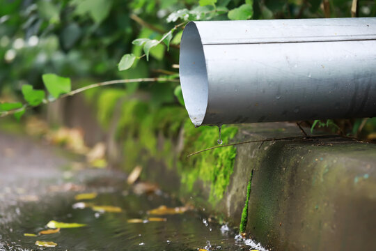Rainwater Drainage System with Greenery and Moss Growing on Concrete