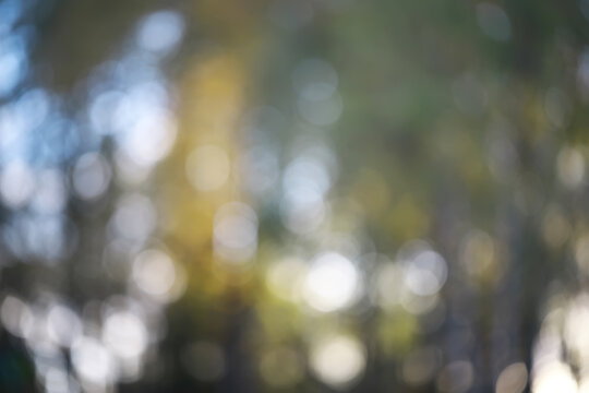 Abstract Nature Bokeh Background with Soft Light and Natural Colors