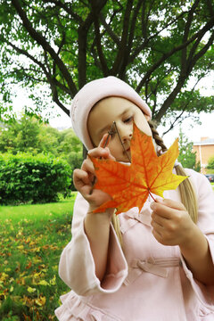 Child Examining Autumn Leaf in Park: Nature's Classroom in Fall Season