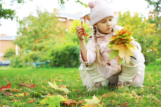 Young Girl Collecting Autumn Leaves in a Park Wearing Cozy Pink Outfit