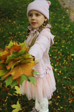 Little Girl in Pink Dress Holding Colorful Autumn Leaves in a Park