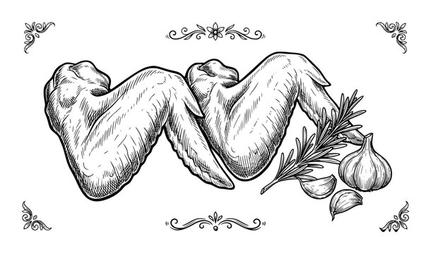 Hand-drawn of raw chicken wings with fresh garlic cloves and rosemary sprigs in a vintage style