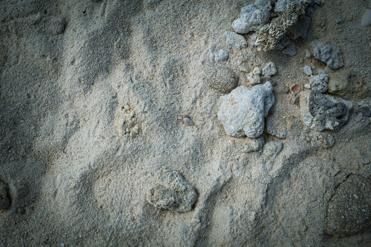 Small rocks and white sand beach in the shore of a tropical beach background texture