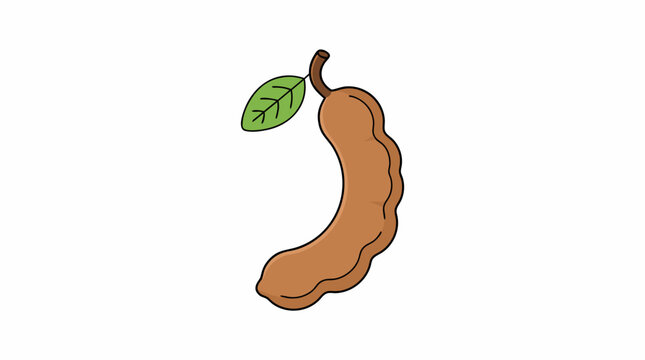 Single tamarind pod with a green leaf isolated on white