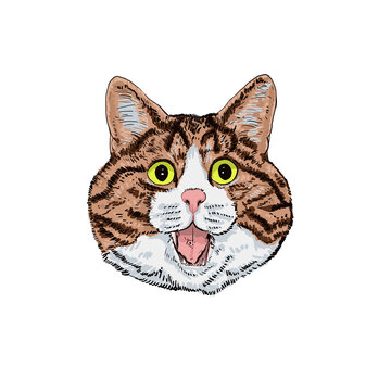 Funny Tabby Cat Head Illustration with Tongue Out and Big Yellow Eyes