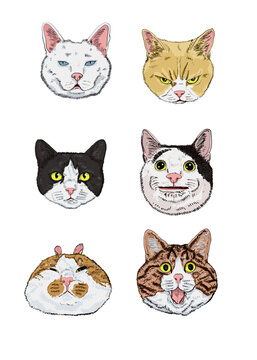 Collection of Six Funny Cat Head Illustrations with Different Expressions