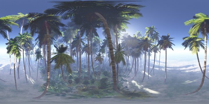 HDRI, environment map , Round panorama, spherical panorama, equidistant projection, panorama 360, Forest and swamp, 3d rendering