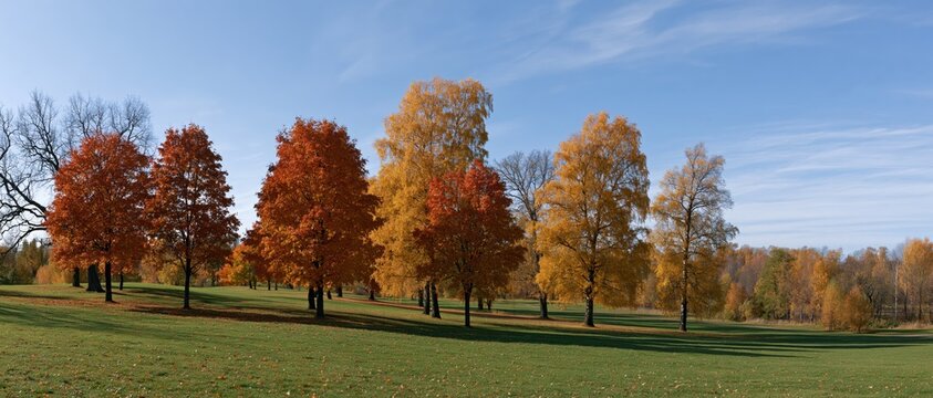 The Autumn Park Landscape with Colorful Trees and Rolling Green Hills Under a Blue Sky